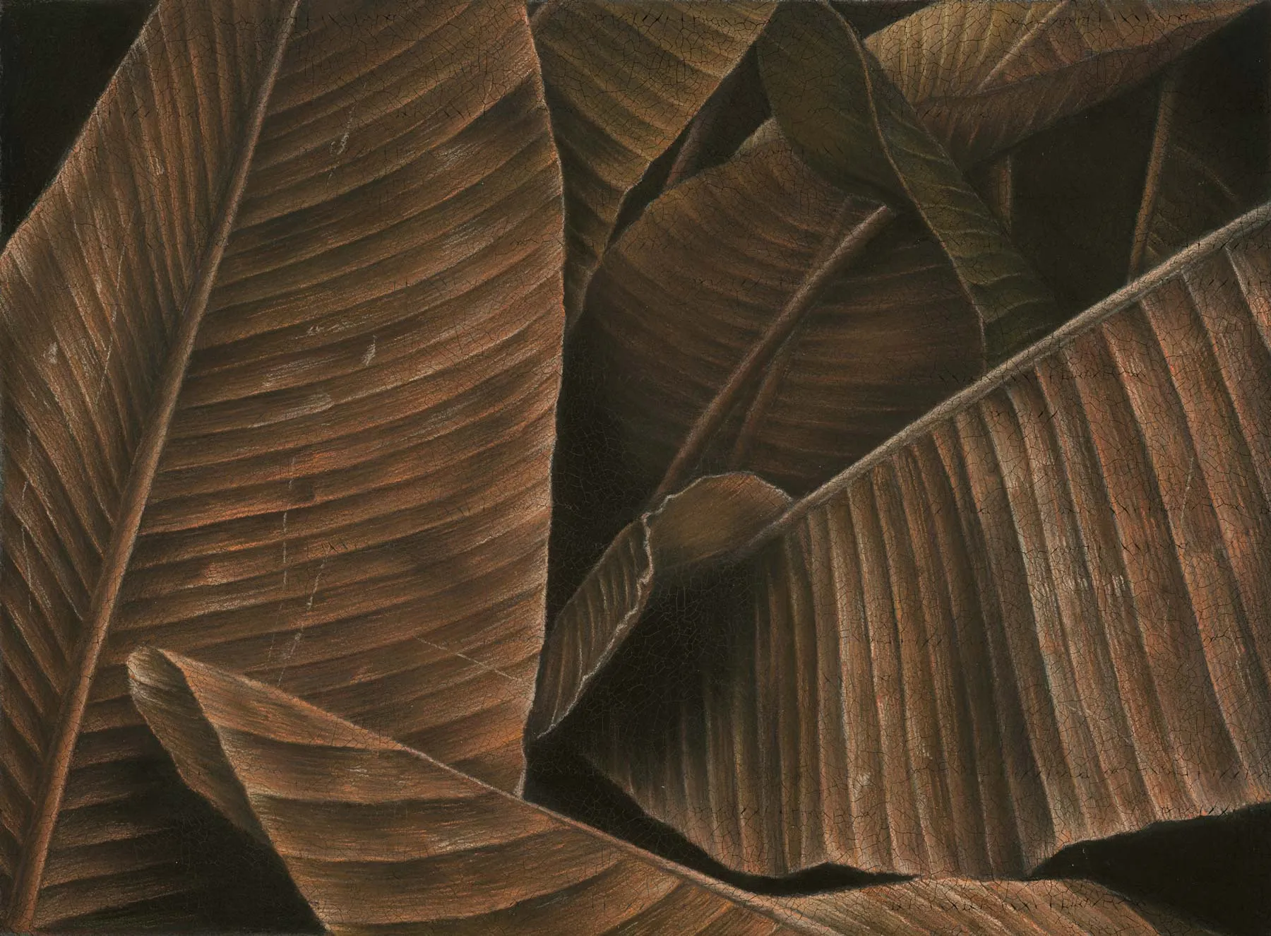 Autumn Leaves