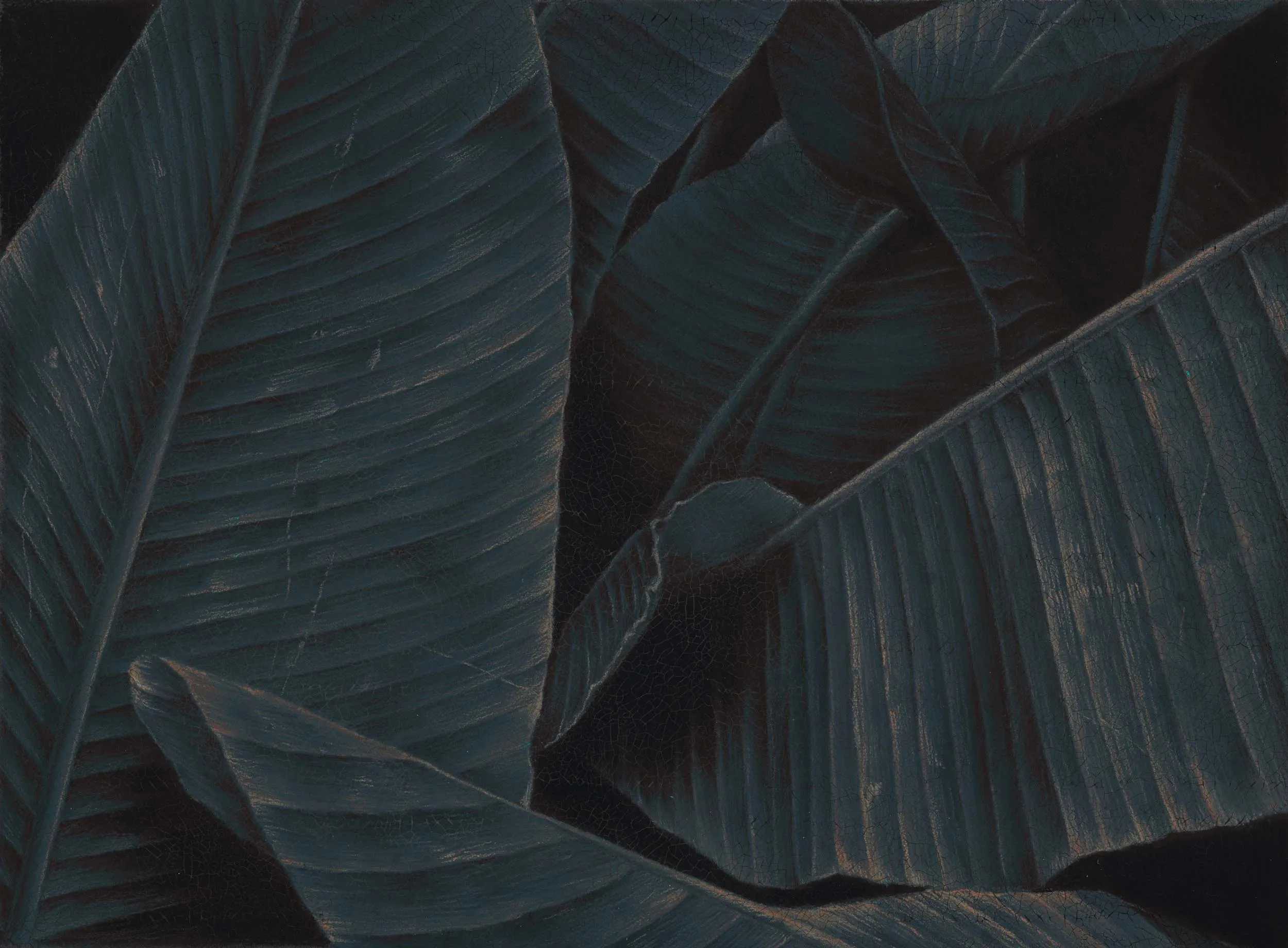 Autumn Leaves