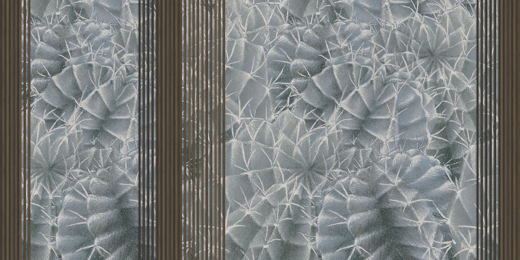 Cactus Rapsody