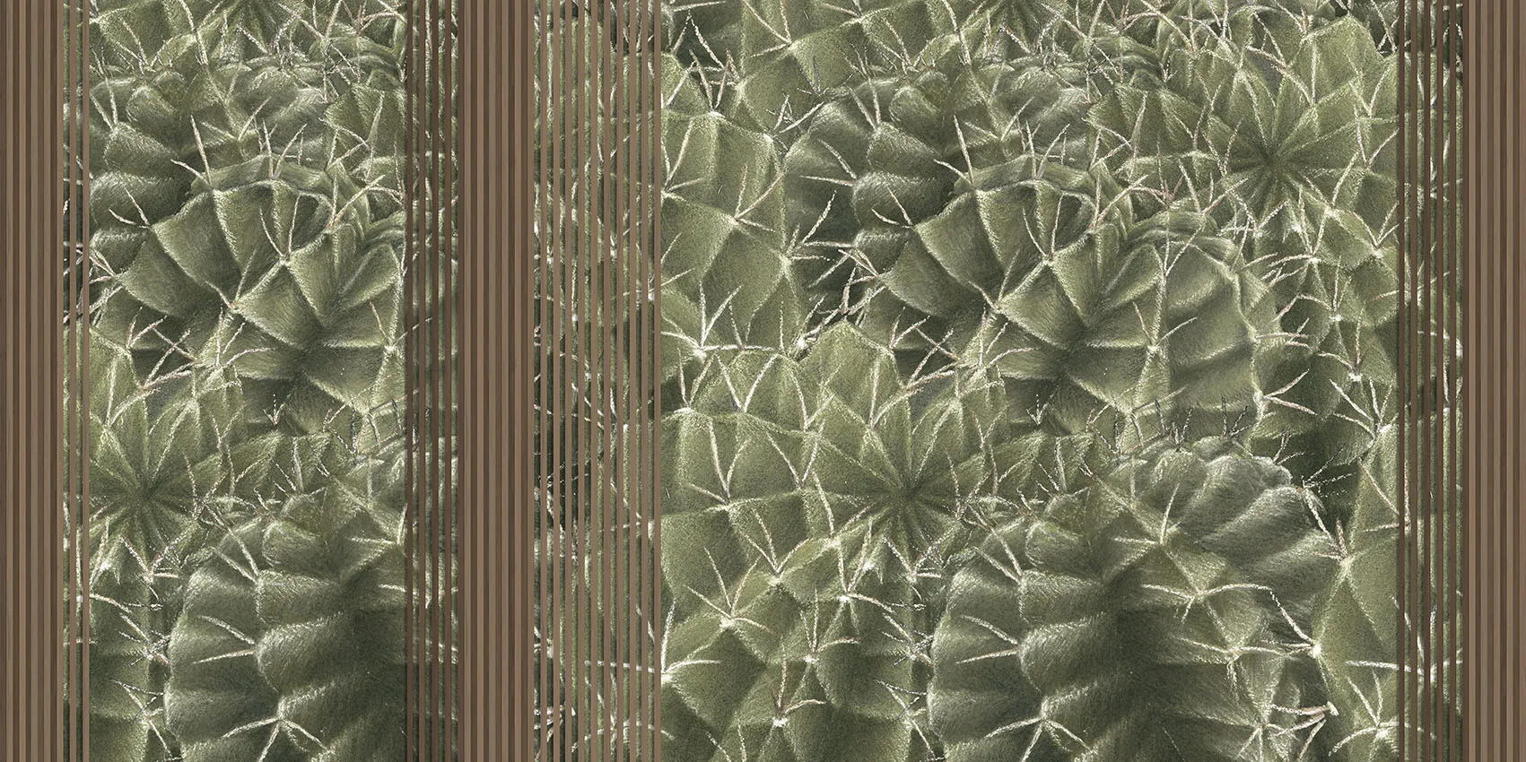 Cactus Rapsody