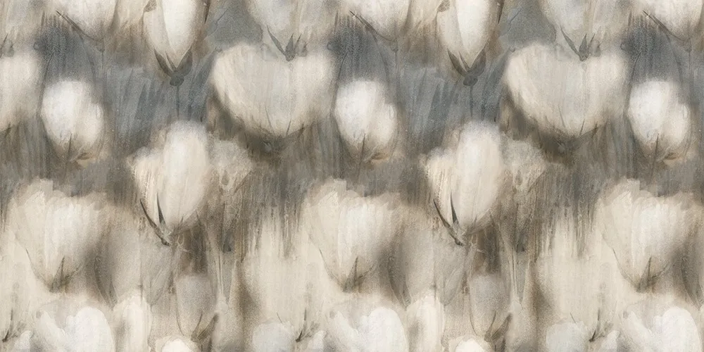 Cotone