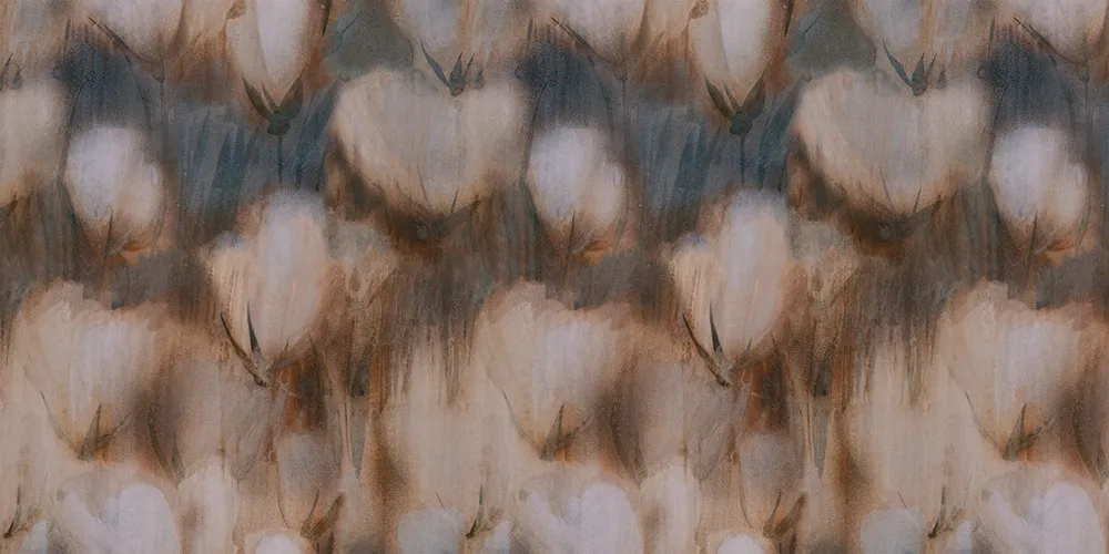 Cotone