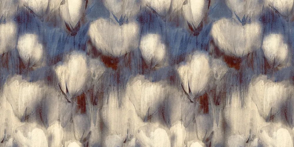 Cotone
