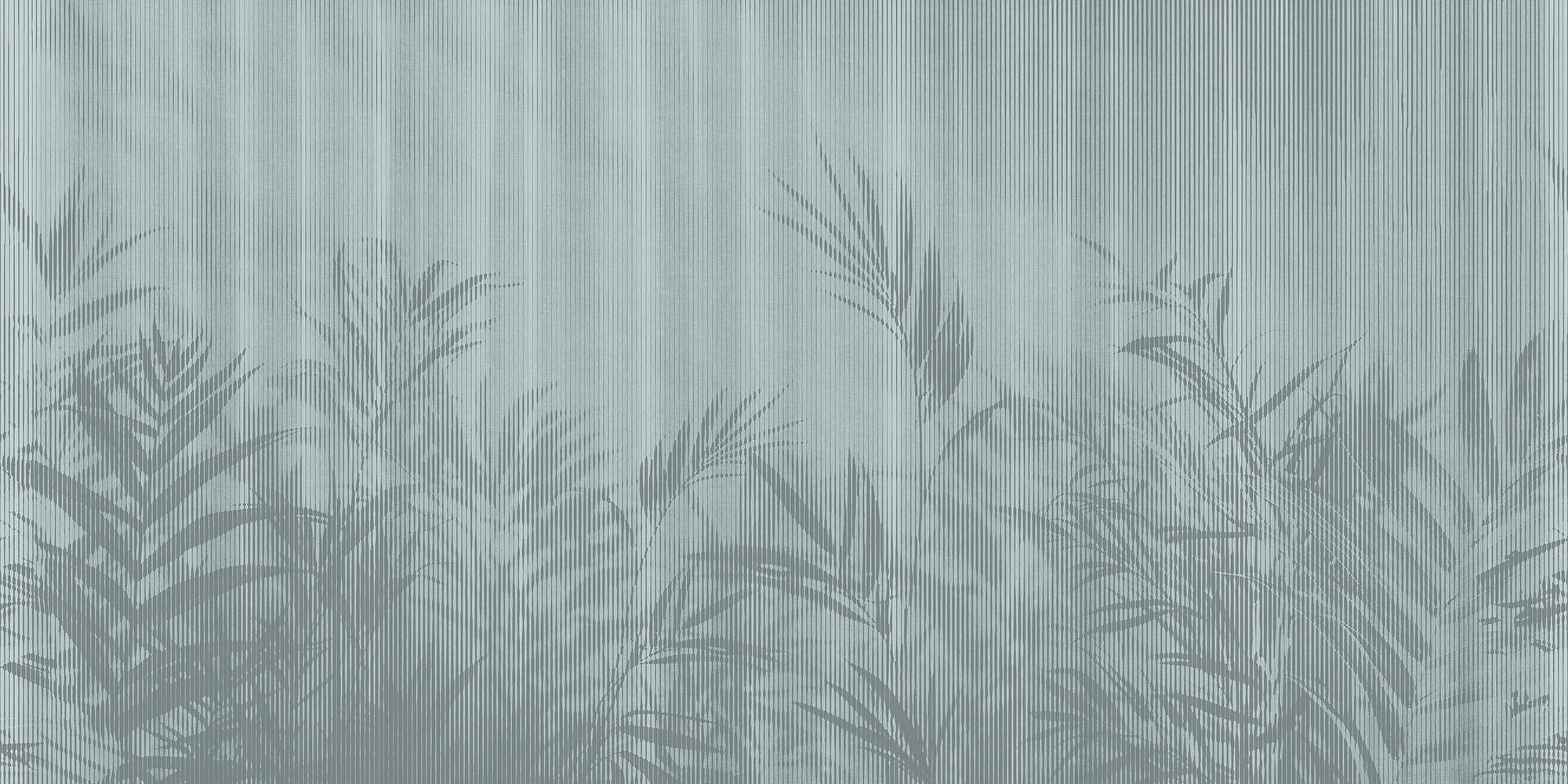 Kentia — Laguna