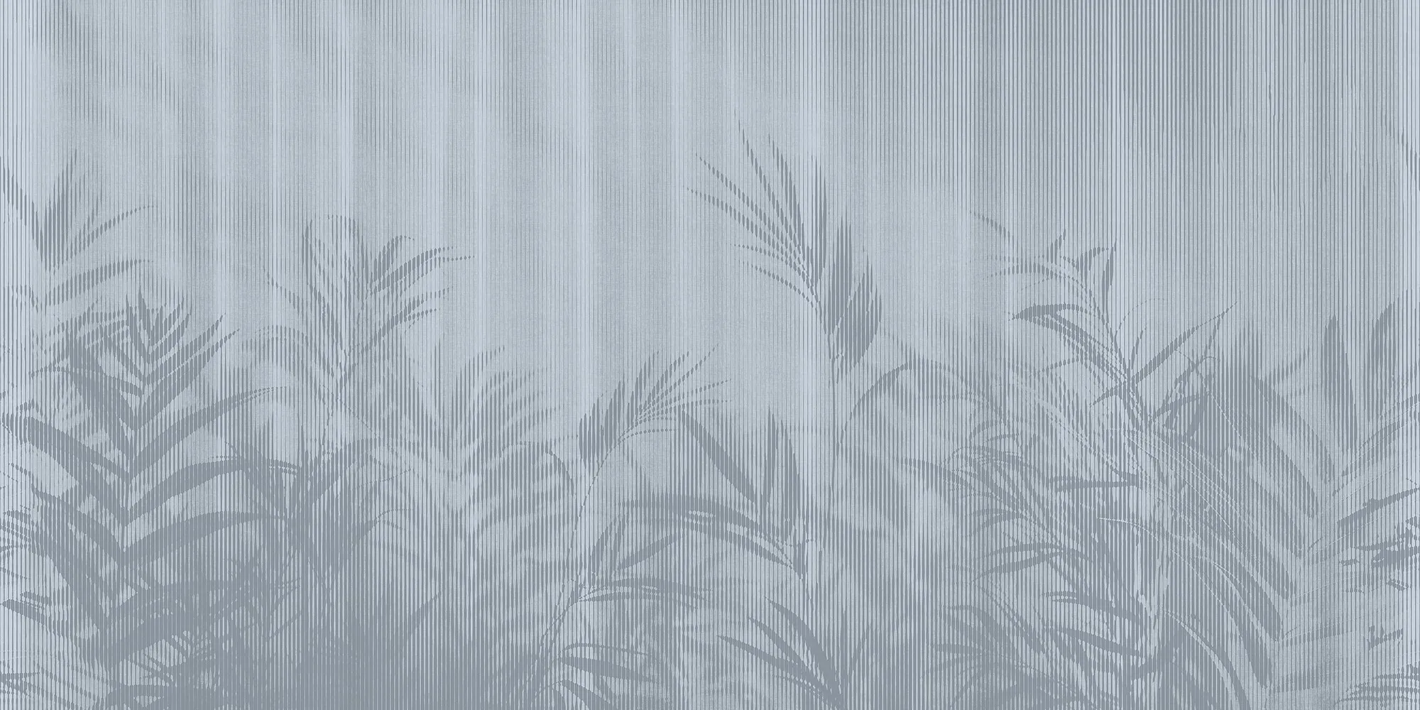 Kentia — Balena