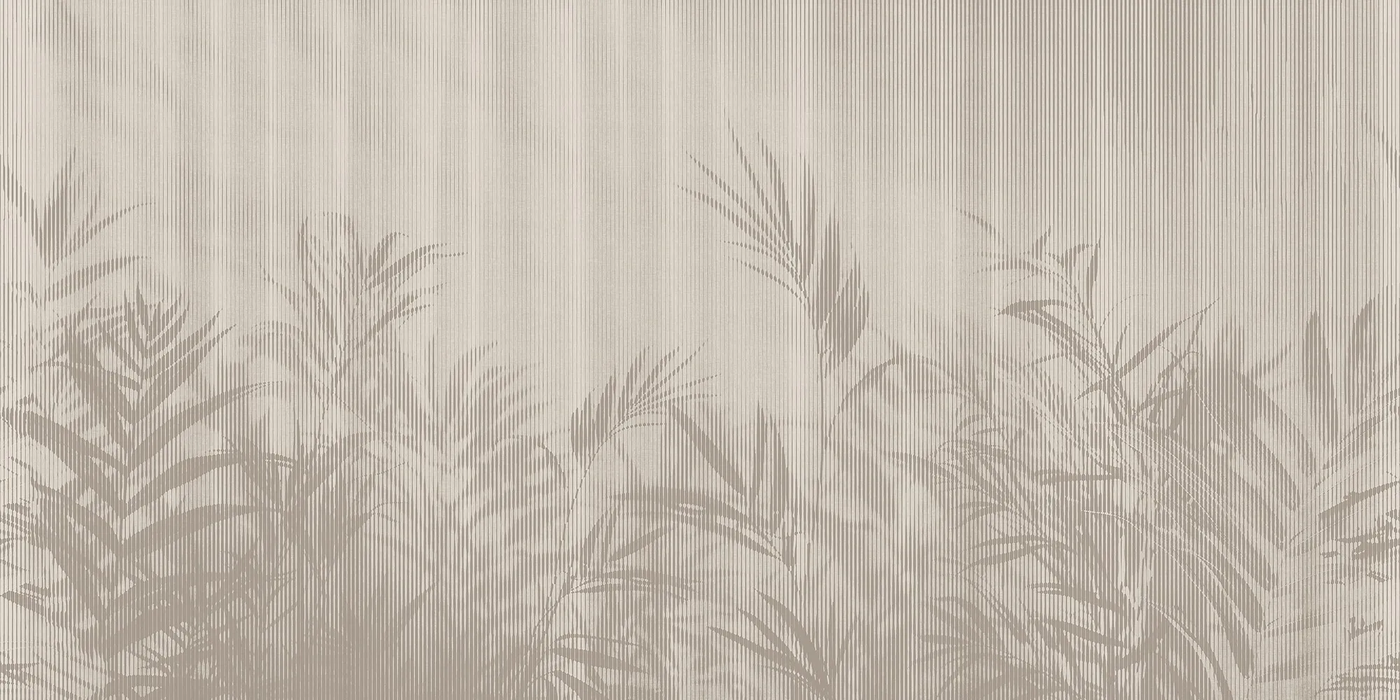 Kentia — Sabbia