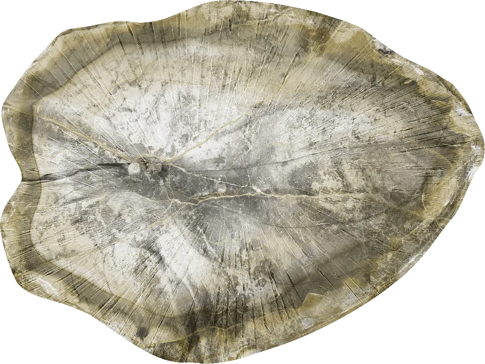 Agata Leaf — SE34600C | 400×300 cm