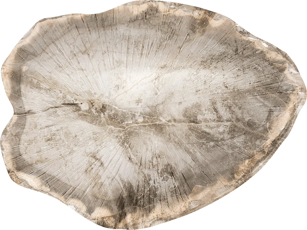 Agata Leaf — SE34600C1 | 400×300 cm