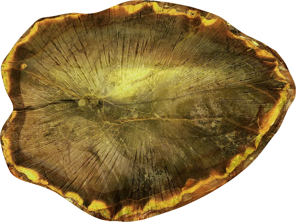 Agata Leaf — SE34600 | 400×300 cm