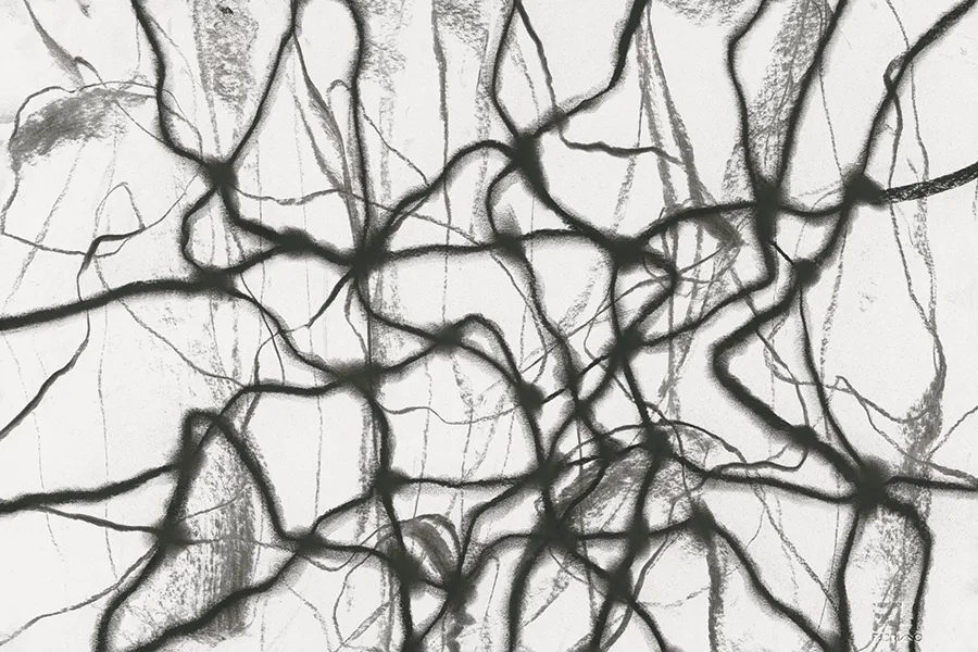 Diari 03 — TSE33641-01 | 198×300 cm