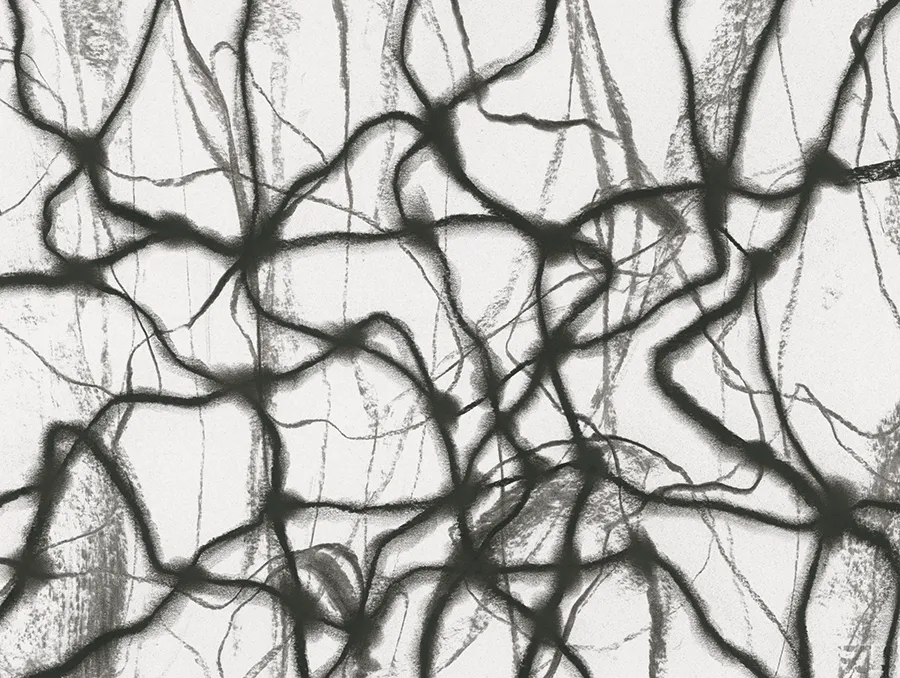 Diari 03 — TSE33641-02 | 180X240 cm