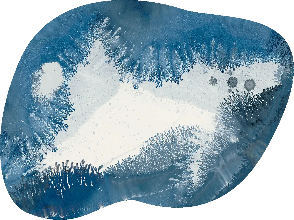 Nereide — SE34610C1 | 400×300 cm
