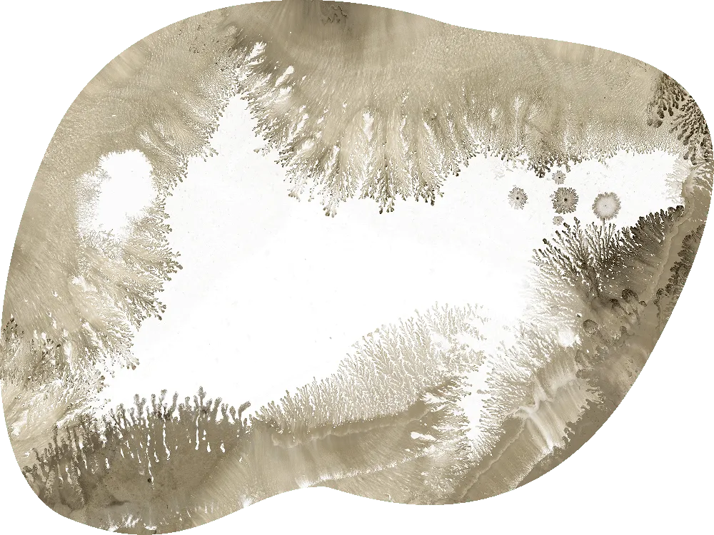 Nereide — SE34610 | 400×300 cm
