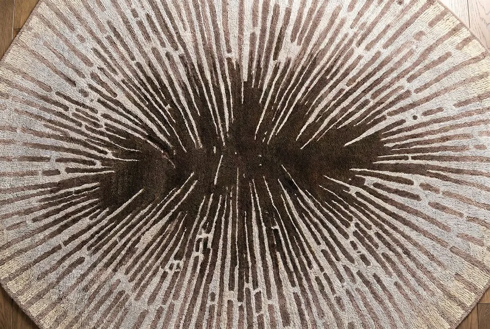 Shell — Close-up