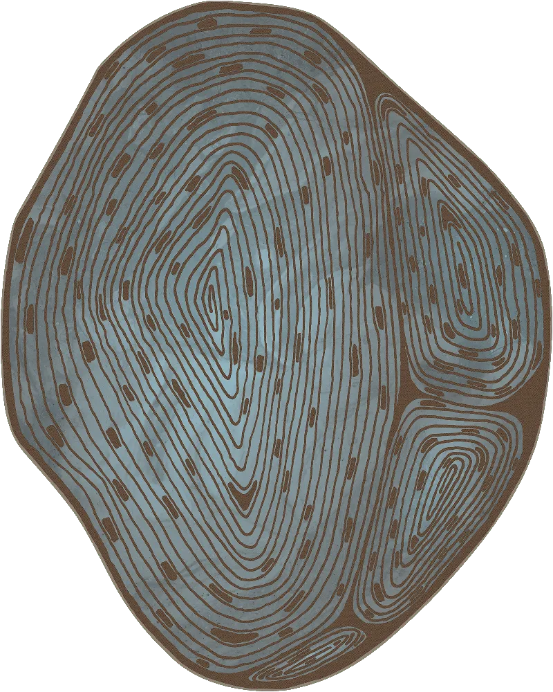 Spiral — SE34604C1 | 350×280 cm