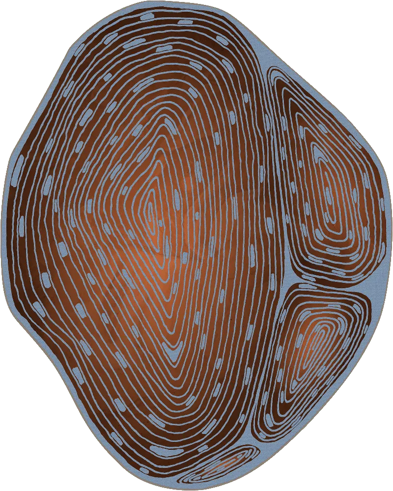 Spiral — SE34604 | 350×280 cm