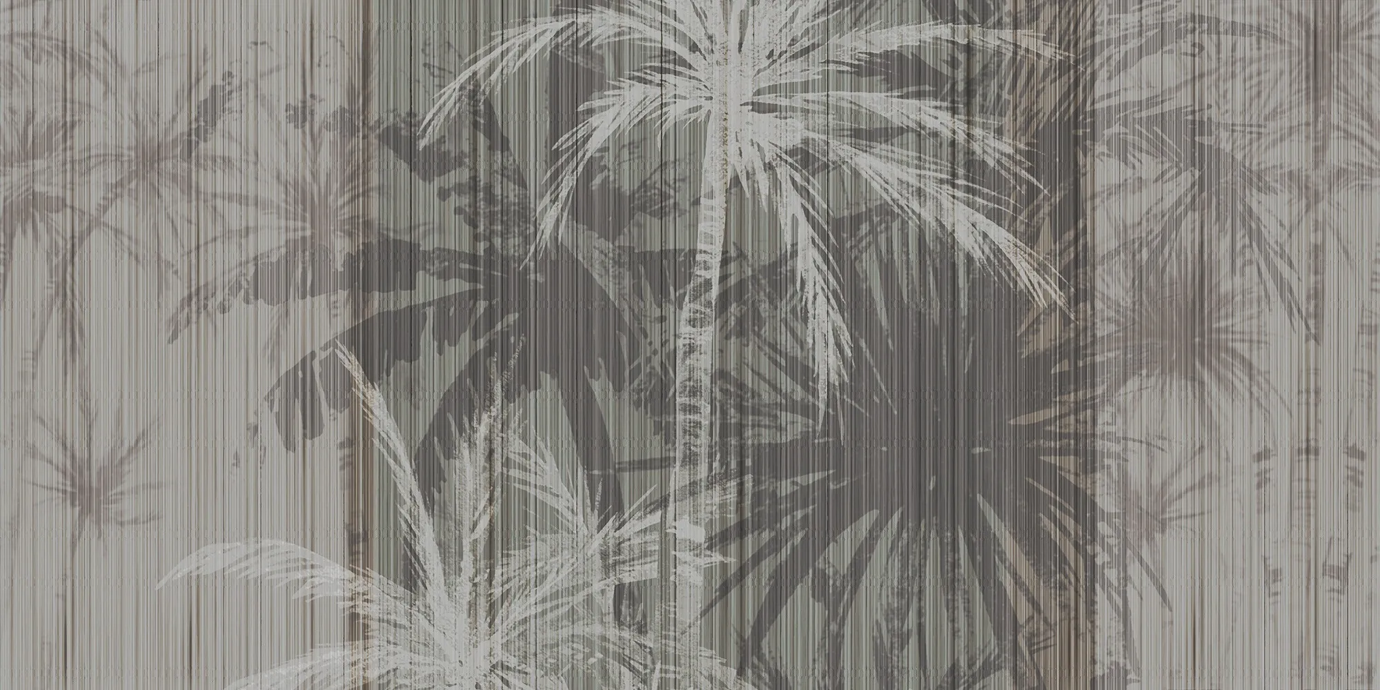 Tropico Del Cancro