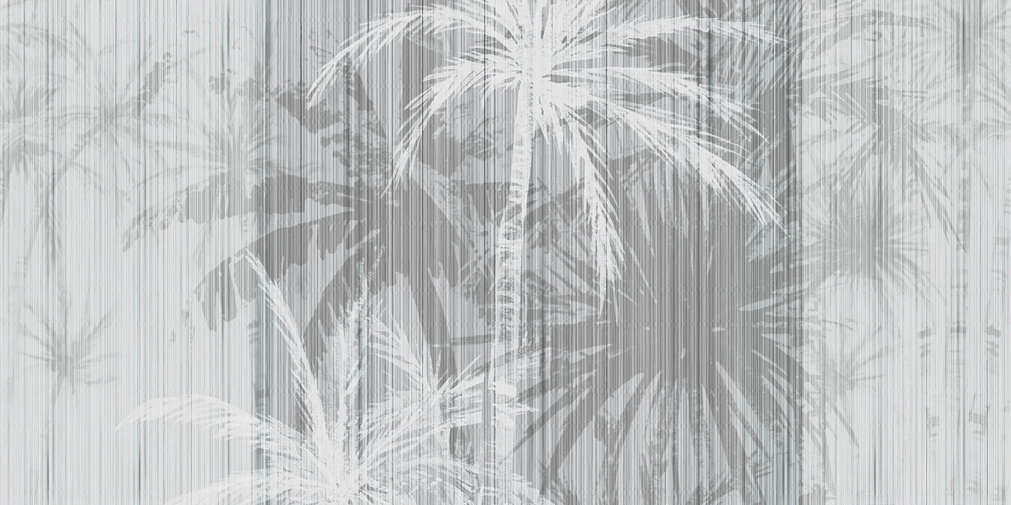 Tropico Del Cancro