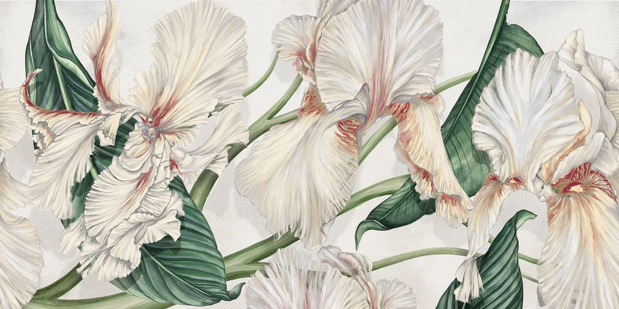Wild Iris